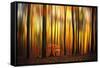 Firewall-Philippe Sainte-Laudy-Framed Stretched Canvas