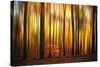 Firewall-Philippe Sainte-Laudy-Stretched Canvas