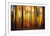 Firewall-Philippe Sainte-Laudy-Framed Photographic Print