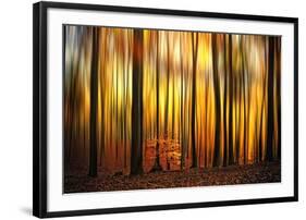 Firewall-Philippe Sainte-Laudy-Framed Photographic Print