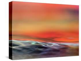 Firewater-Ursula Abresch-Stretched Canvas