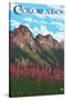 Fireweed and Mountains - Colorado-Lantern Press-Stretched Canvas