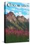 Fireweed and Mountains - Colorado-Lantern Press-Stretched Canvas