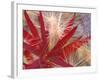 Fireweed and Wild Barley in Denali National Park, Alaska, USA-Darrell Gulin-Framed Photographic Print