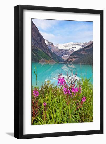 Fireweed at Lakeside, Lake Louise, Canada-George Oze-Framed Photographic Print