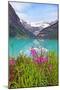 Fireweed at Lakeside, Lake Louise, Canada-George Oze-Mounted Photographic Print