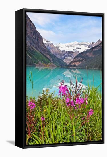 Fireweed at Lakeside, Lake Louise, Canada-George Oze-Framed Stretched Canvas