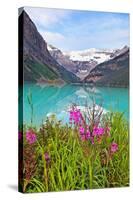 Fireweed at Lakeside, Lake Louise, Canada-George Oze-Stretched Canvas