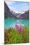Fireweed at Lakeside, Lake Louise, Canada-George Oze-Mounted Photographic Print