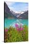 Fireweed at Lakeside, Lake Louise, Canada-George Oze-Stretched Canvas