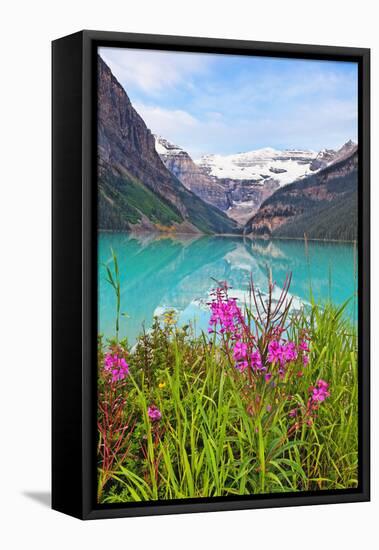 Fireweed at Lakeside, Lake Louise, Canada-George Oze-Framed Stretched Canvas