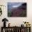 Fireweed Blossoms, Matanuska Glacier, Chugach Range, Alaska, USA-Paul Souders-Photographic Print displayed on a wall