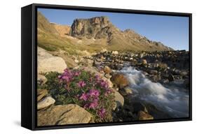 Fireweed Flowers Along Stream-Paul Souders-Framed Stretched Canvas