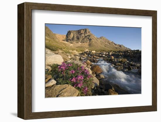 Fireweed Flowers Along Stream-Paul Souders-Framed Photographic Print