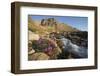 Fireweed Flowers Along Stream-Paul Souders-Framed Photographic Print