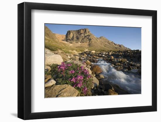 Fireweed Flowers Along Stream-Paul Souders-Framed Photographic Print