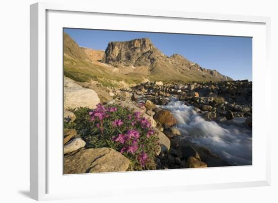 Fireweed Flowers Along Stream-Paul Souders-Framed Photographic Print