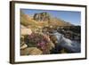 Fireweed Flowers Along Stream-Paul Souders-Framed Photographic Print