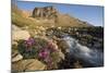 Fireweed Flowers Along Stream-Paul Souders-Mounted Photographic Print