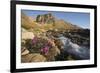 Fireweed Flowers Along Stream-Paul Souders-Framed Photographic Print