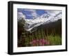 Fireweed Flowers below Mt. Baker-Steve Terrill-Framed Photographic Print