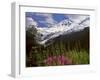 Fireweed Flowers below Mt. Baker-Steve Terrill-Framed Photographic Print