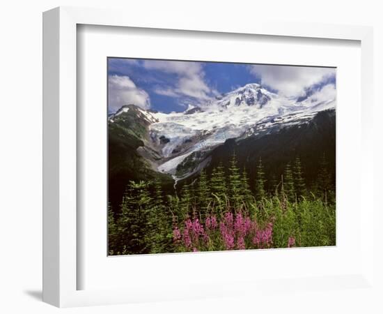 Fireweed Flowers below Mt. Baker-Steve Terrill-Framed Photographic Print