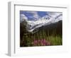 Fireweed Flowers below Mt. Baker-Steve Terrill-Framed Photographic Print