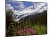 Fireweed Flowers below Mt. Baker-Steve Terrill-Mounted Photographic Print