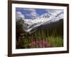 Fireweed Flowers below Mt. Baker-Steve Terrill-Framed Photographic Print