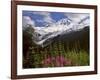 Fireweed Flowers below Mt. Baker-Steve Terrill-Framed Photographic Print