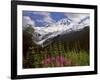 Fireweed Flowers below Mt. Baker-Steve Terrill-Framed Photographic Print