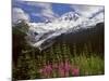 Fireweed Flowers below Mt. Baker-Steve Terrill-Mounted Photographic Print