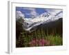 Fireweed Flowers below Mt. Baker-Steve Terrill-Framed Photographic Print