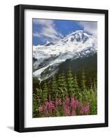 Fireweed Flowers below Mt. Baker-Steve Terrill-Framed Photographic Print