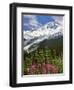 Fireweed Flowers below Mt. Baker-Steve Terrill-Framed Photographic Print