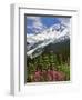 Fireweed Flowers below Mt. Baker-Steve Terrill-Framed Photographic Print