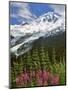 Fireweed Flowers below Mt. Baker-Steve Terrill-Mounted Photographic Print