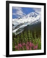 Fireweed Flowers below Mt. Baker-Steve Terrill-Framed Photographic Print