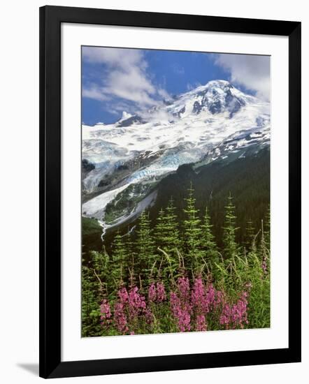 Fireweed Flowers below Mt. Baker-Steve Terrill-Framed Photographic Print