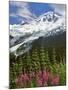 Fireweed Flowers below Mt. Baker-Steve Terrill-Mounted Photographic Print