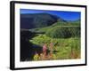 Fireweed Grows Above Yakininikak Creek in the Flathead National Forest, Montana, USA-Chuck Haney-Framed Photographic Print