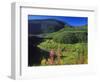 Fireweed Grows Above Yakininikak Creek in the Flathead National Forest, Montana, USA-Chuck Haney-Framed Photographic Print