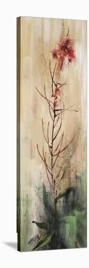 Fireweed I-Simon Addyman-Stretched Canvas