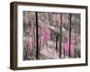 Fireweed-Ursula Abresch-Framed Premium Photographic Print