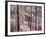 Fireweed-Ursula Abresch-Framed Photographic Print