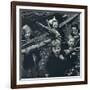 'Firewood', 1941-Cecil Beaton-Framed Photographic Print