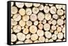 Firewood Free-Standing Stack, Seamless Pattern-Lena_Zajchikova-Framed Stretched Canvas