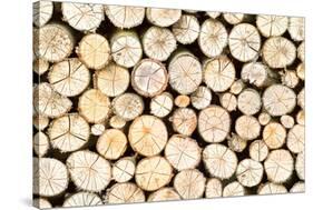 Firewood Free-Standing Stack, Seamless Pattern-Lena_Zajchikova-Stretched Canvas