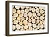 Firewood Free-Standing Stack, Seamless Pattern-Lena_Zajchikova-Framed Photographic Print